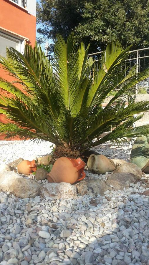 Giuliano di Roma B&B La Mita المظهر الخارجي الصورة