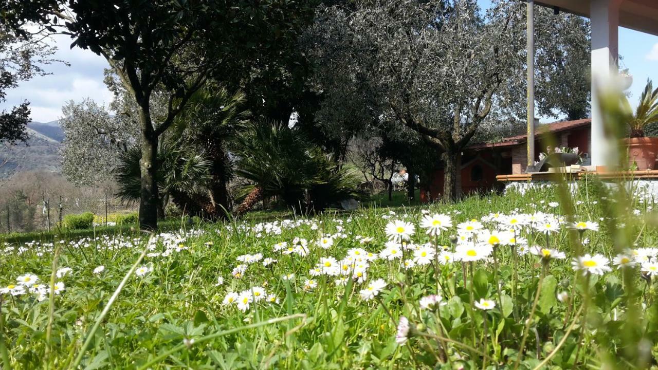 Giuliano di Roma B&B La Mita المظهر الخارجي الصورة